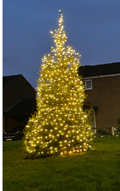 Christmas Tree lights up!