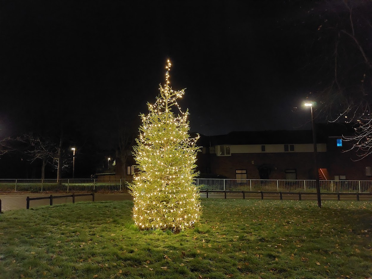 Christmas Tree Lights On